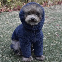 미니피니 강아지 목올라오는 패딩올인원, 네이비
