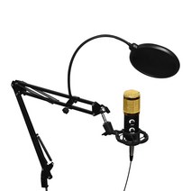 라마투 지향성 고음질 USB 콘덴서 마이크, RM-B1000