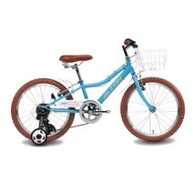알톤스포츠 20 갤럽 MTB 자전거, 라이트 블루, 1350mm