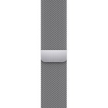 Apple 정품 애플워치 밀레니즈 루프, 실버