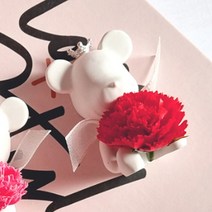 라비다 뉴 카네이션 곰돌이 석고오너먼트 레드 + 석고방향제 리필오일 3ml x 2p, 웨딩플라워