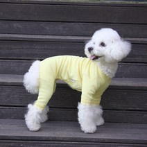 에이미러브즈펫 반려동물 퐁퐁 레이스 올인원, 옐로우