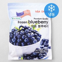 웰프레쉬 미국산 블루베리 (냉동), 500g, 1개