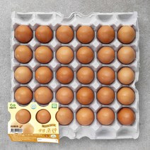 추천 계란배달 인기순위 TOP100 제품 목록