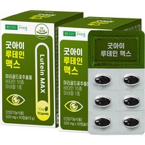 건국유업 굿아이 루테인 맥스 15g, 30정, 2개