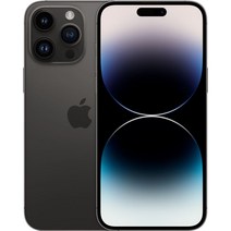 Apple 정품 아이폰 14 Pro Max 자급제, 스페이스블랙, 512GB