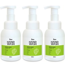 제타 포밍 핸드워시 용기 청포도, 3개, 300ml