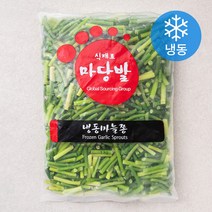마당발 마늘쫑 (냉동), 1kg, 1개