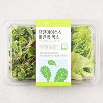 팜에이트 무농약 인증 프릴아이스 & 어린잎 믹스, 100g, 1개