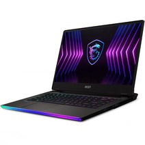 MSI 2022 레이더 GE67, 1024GB, Free DOS, MS-154 / RAIDER-GE67HX-12UHS-035XKR, 그레이, 코어i9, 16GB