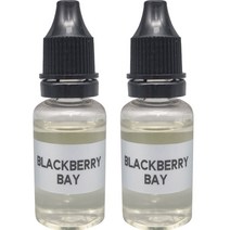 엠퓨처 차량용 불독 방향제 리필 오일 15ml, 블랙베리베이, 2개
