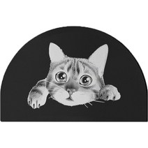 생활소담 화장실 욕실 규조토 귀여운 고양이 발매트 40 x 60 cm, 반원A