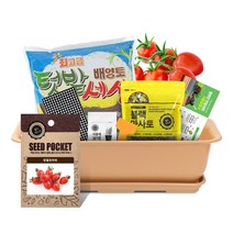 월드가드닝 베란다 정원 채소키우기 화분 분갈이 흙 씨앗 뷰티 6호 텃밭 9종 세트 화이트, 방울토마토