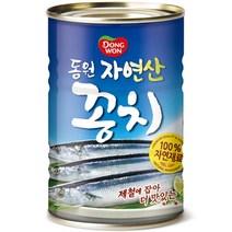 동원 자연산 꽁치, 400g, 1개
