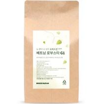 브리즈빈 베트남 로부스타 G1 커피원두, 홀빈, 500g