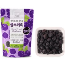 딜라잇가든 마이크로드라이드 블루베리, 25g, 1개
