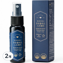 허니바이허니 프로폴리스 스프레이, 2개, 25ml