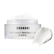 코스노리 더 퍼펙트 화이트닝 EX 미백 기능성 기미크림, 50ml, 1개