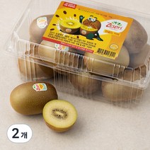 제스프리 썬골드키위, 1.55kg(XL, 12개입), 2개