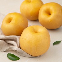 곰곰 GAP 나주 당도선별 신고배, 2kg, 1개