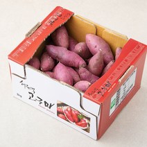 해들녘 고창 황토 고구마, 3kg(중), 1박스