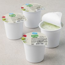 덴마크 요거밀 사과샐러드, 150g, 4개