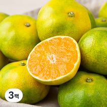 새벽경매 제주 하우스감귤, 1.2kg, 3팩