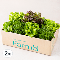 팜에이트 무농약 유러피안 샐러드 꾸러미, 800g, 2팩