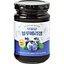 무화당 알룰로스 블루베리잼, 1개, 235g