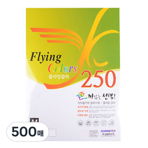 삼원 OA용지 플라잉칼라250 복사용지 레인보우, A4, 500매