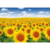 푸른 하늘 해바라기 들판 직소퍼즐 PS1002, 1000피스, 혼합색상