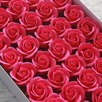 다우에프앤지 4겹 비누장미 50p + 꽃대 50p 세트, 다크 핑크