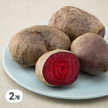 주스용 세척비트, 1kg, 2개