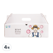 젊은농부 빨간양파즙, 3000ml, 4개