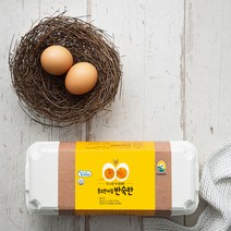풍요한아침 반숙란 10구, 520g, 1개