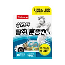 불스원 탈취 차량실내 훈증캔 민트향 본품, 64.4g, 1개