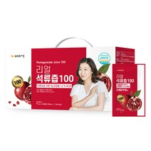 비타민마을 리얼 석류즙 100, 70ml, 30개