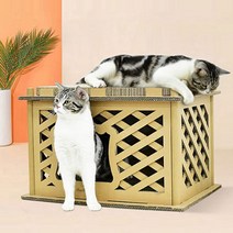 딩동펫 고양이 아카시아 스크래쳐 하우스형, 혼합색상, 1개