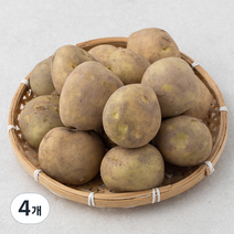 곰곰 밀양 수미 감자(햇), 2kg, 4개