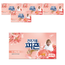피죤 리치퍼퓸 시그니처 건조기용 시트형 섬유유연제 라 피에스타 본품, 5개, 40매