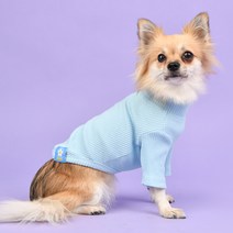 올치 강아지 고양이 파스텔 터틀넥 티셔츠, 스카이블루