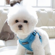 퍼피아 강아지 소프트 C 가슴줄 하네스, 스카이블루