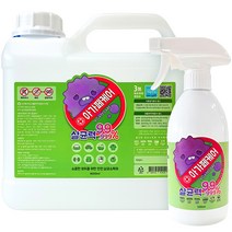 아가페케어 뿌리는 살균소독제 4000ml + 500ml 세트, 4500ml, 1세트