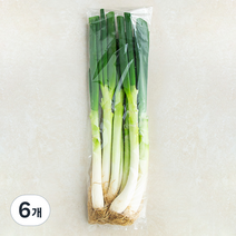 국내산 흙대파, 1kg, 6개