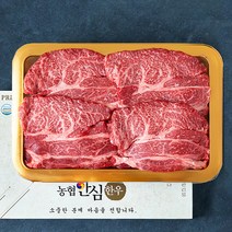 농협안심한우 1등급 등심 채반 선물세트 4호 (냉장), 1kg, 1박스
