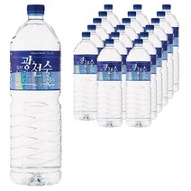 광천수 일화 광천수, 18개, 2L