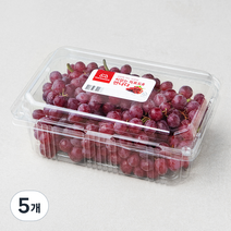 만나다 미국산 씨없는 적포도, 900g, 5개