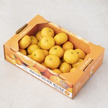 곰곰 GAP 당도선별 하우스 감귤, 1.5kg, 1박스