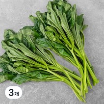 곰곰 아욱, 300g, 3개