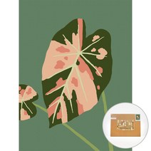 아트조이 물감 2배 DIY 명화그리기 40 x 30 cm, 수채화 알로카시아